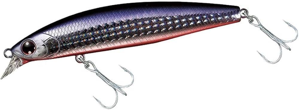 Amazon.co.jp: ダイワ(DAIWA) ショアラインシャイナーZ セットアッパー